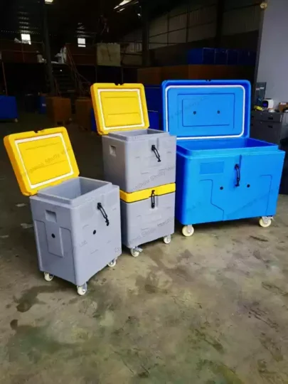 customized dry ice insulated shipping box