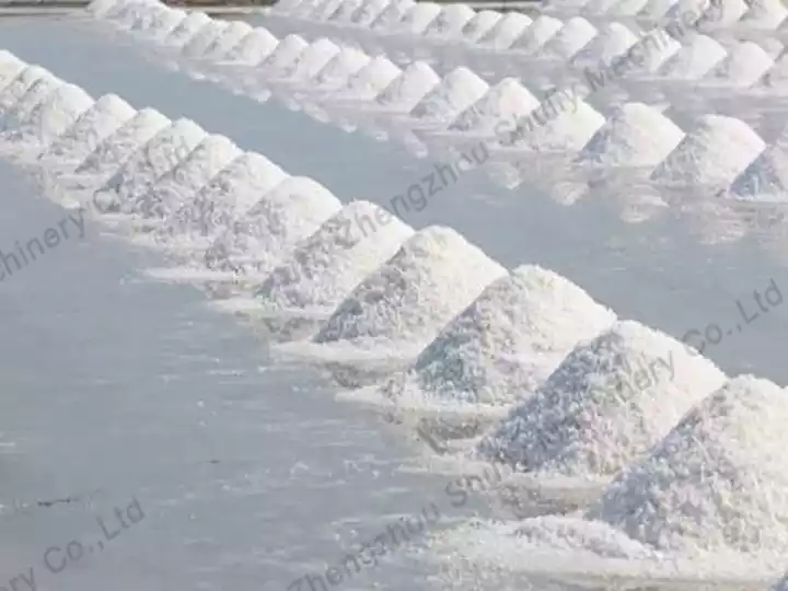 How Is Sea Salt Harvested from Salt Ponds? 3 Salt