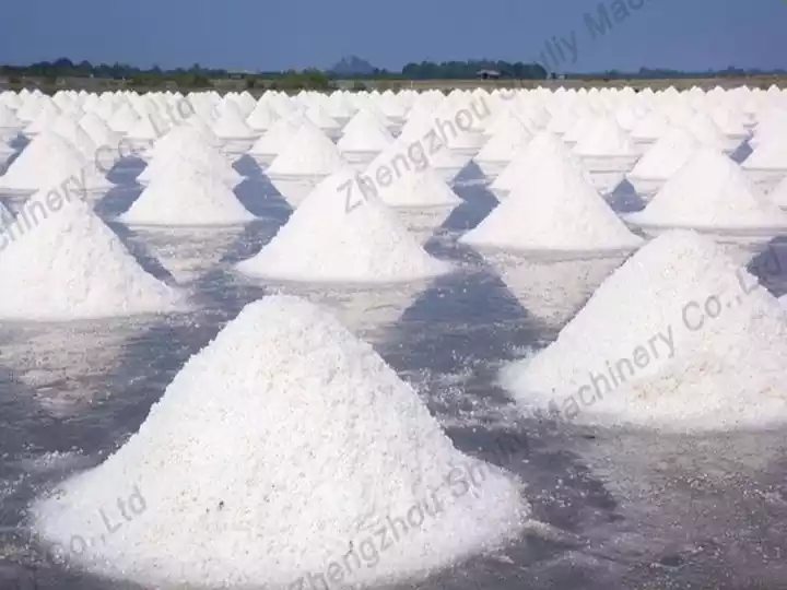 How Is Sea Salt Harvested from Salt Ponds? 4 Sea Salt