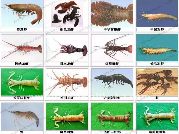 Fishmeal Ingredients