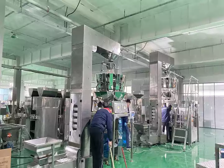 Ten-Head Weigher Packager Factory